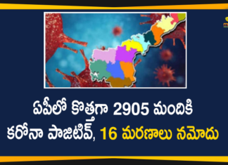 Andhra Pradesh, Andhra Pradesh COVID-19 Daily Bulletin, Andhra Pradesh Department of Health, ap coronavirus cases today, ap coronavirus cases total, ap coronavirus updates district wise, AP COVID 19 Cases, AP Total Positive Cases, COVID-19, COVID-19 Daily Bulletin, Total Corona Cases In AP