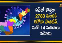 Andhra Pradesh, Andhra Pradesh COVID-19 Daily Bulletin, Andhra Pradesh Department of Health, ap coronavirus cases today, ap coronavirus cases total, ap coronavirus updates district wise, AP COVID 19 Cases, AP Total Positive Cases, COVID-19, COVID-19 Daily Bulletin, Total Corona Cases In AP