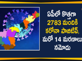 Andhra Pradesh, Andhra Pradesh COVID-19 Daily Bulletin, Andhra Pradesh Department of Health, ap coronavirus cases today, ap coronavirus cases total, ap coronavirus updates district wise, AP COVID 19 Cases, AP Total Positive Cases, COVID-19, COVID-19 Daily Bulletin, Total Corona Cases In AP
