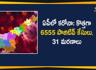 Andhra Pradesh, Andhra Pradesh COVID-19 Daily Bulletin, Andhra Pradesh Department of Health, ap coronavirus cases today, ap coronavirus cases total, ap coronavirus updates district wise, AP COVID 19 Cases, AP Total Positive Cases, COVID-19, COVID-19 Daily Bulletin, Total Corona Cases In AP