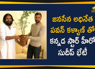 Hero Sudeep, Hero Sudeep Meets Janasena Chief Pawan Kalyan, janasena chief, janasena chief pawan kalyan, Kannada Star, Kannada Star Hero Sudeep, Kiccha Sudeep meets Pawan Kalyan, Kischa Sudeep meets Janasena leader, pawan kalyan, Pawan Kalyan gifts a sapling to Kiccha Sudeep, Sudeep Meets Pawan Kalyan
