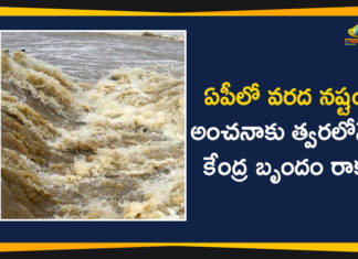 Central Team To Visit AP Soon to Assess the Loss Due to Rains and Floods