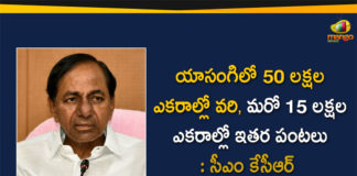 CM KCR, CM KCR has Finalized Yasangi Crop Policy, CM KCR spells out regulated farming pattern, CM KCR spells out regulated farming pattern for Yasangi, KCR to review Regulated cropping system, State targets paddy cultivation on 50 lakh acres, Telangana Yasangi Crop Policy, Yasangi Crop Policy