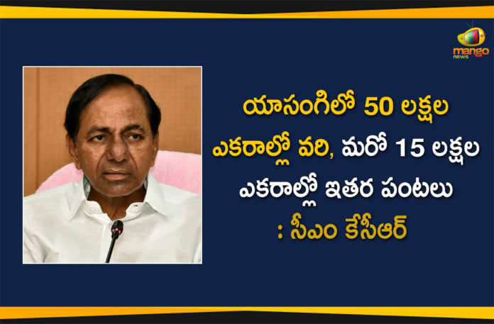 CM KCR, CM KCR has Finalized Yasangi Crop Policy, CM KCR spells out regulated farming pattern, CM KCR spells out regulated farming pattern for Yasangi, KCR to review Regulated cropping system, State targets paddy cultivation on 50 lakh acres, Telangana Yasangi Crop Policy, Yasangi Crop Policy