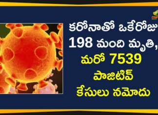 Corona Positive Cases in Maharashtra, Corona Positive Cases In Maharashtra, Maharashtra, Maharashtra , Maharashtra Corona, Maharashtra Corona Cases, Maharashtra Corona Deaths, Maharashtra Corona Positive Cases, Maharashtra Coronavirus, Maharashtra Coronavirus Positive Cases, Maharashtra Coronavirus Updates, Maharashtra COVID 19