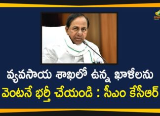 Agriculture Department Telangana, Agriculture Jobs, Agriculture Vacancies, CM KCR Directed Officials to Immediately Fill the Vacancies in Agriculture, KCR Says Fill the Vacancies in Agriculture, Telangana CM KCR, Vacancies in Agriculture Department, Vacancies in Agriculture Department In Telangana