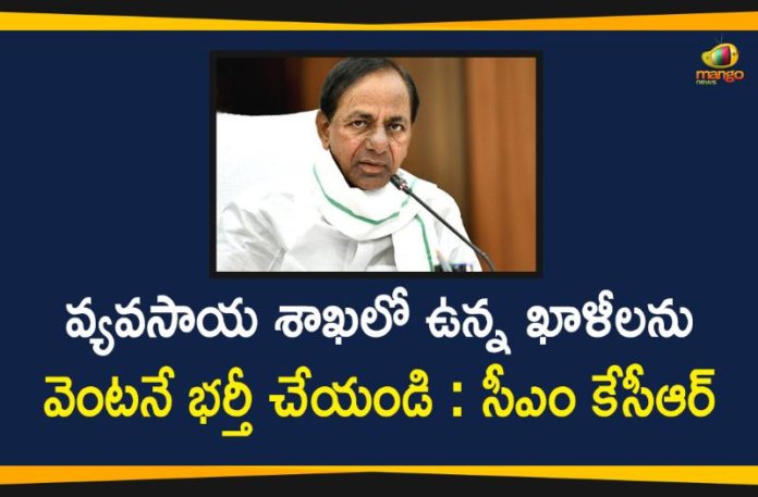 Agriculture Department Telangana, Agriculture Jobs, Agriculture Vacancies, CM KCR Directed Officials to Immediately Fill the Vacancies in Agriculture, KCR Says Fill the Vacancies in Agriculture, Telangana CM KCR, Vacancies in Agriculture Department, Vacancies in Agriculture Department In Telangana