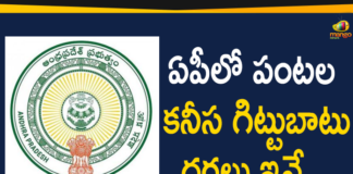 Andhra Pradesh government announce MSP for crops, AP announce MSP for Kharif crops on October 1, AP Govt Announces Minimum Prices for 24 Types of Crops, AP Minimum Prices for 24 Types of Crops, AP News, Minimum Prices for 24 Types of Crops, Minimum Prices for Crops, MSP for Kharif crops, MSP for Kharif crops in Ap, MSP for Khariff crops, MSP for Rabi Crops for marketing