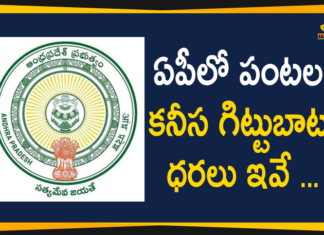 Andhra Pradesh government announce MSP for crops, AP announce MSP for Kharif crops on October 1, AP Govt Announces Minimum Prices for 24 Types of Crops, AP Minimum Prices for 24 Types of Crops, AP News, Minimum Prices for 24 Types of Crops, Minimum Prices for Crops, MSP for Kharif crops, MSP for Kharif crops in Ap, MSP for Khariff crops, MSP for Rabi Crops for marketing