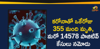 Corona Positive Cases in Maharashtra, Corona Positive Cases In Maharashtra, Maharashtra, Maharashtra , Maharashtra Corona, Maharashtra Corona Cases, Maharashtra Corona Deaths, Maharashtra Corona Positive Cases, Maharashtra Coronavirus, Maharashtra Coronavirus Positive Cases, Maharashtra Coronavirus Updates, Maharashtra COVID 19