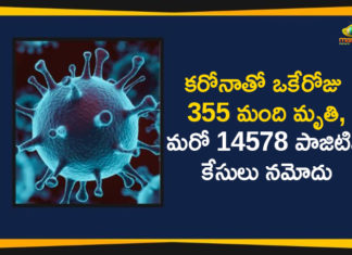 Corona Positive Cases in Maharashtra, Corona Positive Cases In Maharashtra, Maharashtra, Maharashtra , Maharashtra Corona, Maharashtra Corona Cases, Maharashtra Corona Deaths, Maharashtra Corona Positive Cases, Maharashtra Coronavirus, Maharashtra Coronavirus Positive Cases, Maharashtra Coronavirus Updates, Maharashtra COVID 19