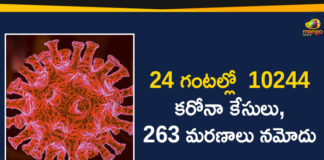 Corona Positive Cases in Maharashtra, Corona Positive Cases In Maharashtra, Maharashtra, Maharashtra , Maharashtra Corona, Maharashtra Corona Cases, Maharashtra Corona Deaths, Maharashtra Corona Positive Cases, Maharashtra Coronavirus, Maharashtra Coronavirus Positive Cases, Maharashtra Coronavirus Updates, Maharashtra COVID 19