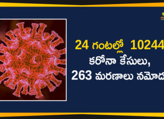 Corona Positive Cases in Maharashtra, Corona Positive Cases In Maharashtra, Maharashtra, Maharashtra , Maharashtra Corona, Maharashtra Corona Cases, Maharashtra Corona Deaths, Maharashtra Corona Positive Cases, Maharashtra Coronavirus, Maharashtra Coronavirus Positive Cases, Maharashtra Coronavirus Updates, Maharashtra COVID 19