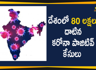 Coronavirus Cases, coronavirus cases in india state wise, coronavirus cases in india today state wise, coronavirus cases india, coronavirus india, India Coronavirus, India Covid-19 Updates, New Confirmed Corona Cases, total corona cases in india today, total corona positive in india