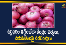 Centre Relaxes Import Norms for Onions, Centre relaxes norms on onion import to moderate price, Government Relaxes Import Norms For Onion, Import Norms for Onions to Control Price and Boost the Supply, Onion Price, onions cost, onions import, onions per kg, onions price increase, onions price today