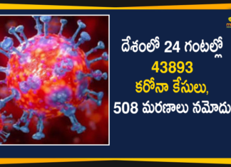 Coronavirus Cases, coronavirus cases in india state wise, coronavirus cases in india today state wise, coronavirus cases india, coronavirus india, India Coronavirus, India Covid-19 Updates, New Confirmed Corona Cases, total corona cases in india today, total corona positive in india