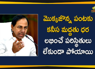 Agriculture in Telangana, CM KCR Meeting, CM KCR Meeting on Crops Cultivation and Marketing, Crops Cultivation and Marketing, Crops Cultivation and Marketing In Telangana, kcr meeting, Telangana Agriculture Department, Telangana Agriculture News, Telangana CM KCR