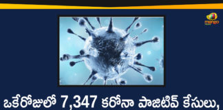 Corona Positive Cases in Maharashtra, Corona Positive Cases In Maharashtra, Maharashtra, Maharashtra , Maharashtra Corona, Maharashtra Corona Cases, Maharashtra Corona Deaths, Maharashtra Corona Positive Cases, Maharashtra Coronavirus, Maharashtra Coronavirus Positive Cases, Maharashtra Coronavirus Updates, Maharashtra COVID 19