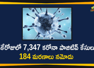 Corona Positive Cases in Maharashtra, Corona Positive Cases In Maharashtra, Maharashtra, Maharashtra , Maharashtra Corona, Maharashtra Corona Cases, Maharashtra Corona Deaths, Maharashtra Corona Positive Cases, Maharashtra Coronavirus, Maharashtra Coronavirus Positive Cases, Maharashtra Coronavirus Updates, Maharashtra COVID 19