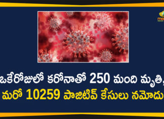 Corona Positive Cases in Maharashtra, Corona Positive Cases In Maharashtra, Maharashtra, Maharashtra , Maharashtra Corona, Maharashtra Corona Cases, Maharashtra Corona Deaths, Maharashtra Corona Positive Cases, Maharashtra Coronavirus, Maharashtra Coronavirus Positive Cases, Maharashtra Coronavirus Updates, Maharashtra COVID 19