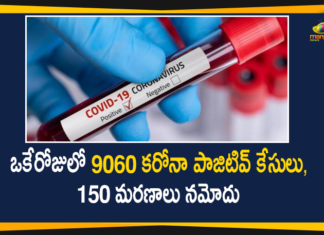 Corona Positive Cases in Maharashtra, Maharashtra, Maharashtra Corona, Maharashtra Corona Cases, Maharashtra Corona Deaths, Maharashtra Corona Positive Cases, Maharashtra Coronavirus, Maharashtra Coronavirus Positive Cases, Maharashtra Coronavirus Updates, Maharashtra COVID 19