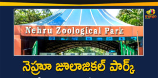 Hyderabad Nehru Zoological Park, Hyderabad Nehru Zoological Park to be Reopened, Hyderabad Unlock 5, Nehru Zoo Park, Nehru Zoo Park Reopen, Nehru Zoological Park, Nehru Zoological Park Hyderabad to reopens, Nehru Zoological Park to be Reopened, Zooa Park, Zoological Park to be Reopened