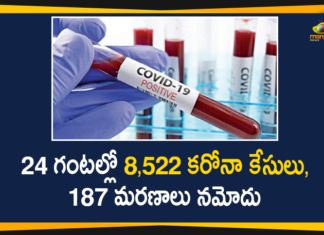 Corona Positive Cases in Maharashtra, Corona Positive Cases In Maharashtra, Maharashtra, Maharashtra , Maharashtra Corona, Maharashtra Corona Cases, Maharashtra Corona Deaths, Maharashtra Corona Positive Cases, Maharashtra Coronavirus, Maharashtra Coronavirus Positive Cases, Maharashtra Coronavirus Updates, Maharashtra COVID 19