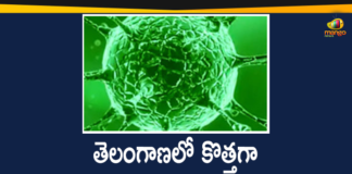 Coronavirus, COVID-19, Covid-19 Updates in Telangana, Mango News Telugu, telangana corona district wise cases, telangana coronavirus cases district wise, telangana coronavirus cases today district wise, telangana coronavirus district wise List, Telangana Coronavirus News, telangana covid cases today bulletin, telangana covid cases today list