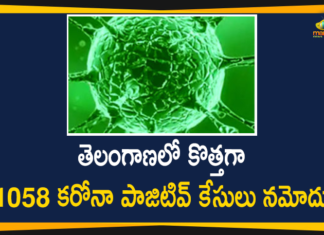 Coronavirus, COVID-19, Covid-19 Updates in Telangana, Mango News Telugu, telangana corona district wise cases, telangana coronavirus cases district wise, telangana coronavirus cases today district wise, telangana coronavirus district wise List, Telangana Coronavirus News, telangana covid cases today bulletin, telangana covid cases today list