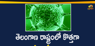 Coronavirus, COVID-19, Covid-19 Updates in Telangana, telangana corona district wise cases, telangana coronavirus cases district wise, telangana coronavirus cases today, telangana coronavirus cases today district wise, telangana coronavirus district wise, telangana coronavirus district wise List, Telangana Coronavirus News, telangana covid cases today bulletin, telangana covid cases today list,mango news