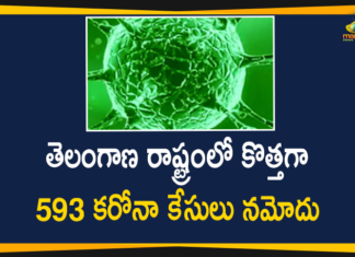 Coronavirus, COVID-19, Covid-19 Updates in Telangana, telangana corona district wise cases, telangana coronavirus cases district wise, telangana coronavirus cases today, telangana coronavirus cases today district wise, telangana coronavirus district wise, telangana coronavirus district wise List, Telangana Coronavirus News, telangana covid cases today bulletin, telangana covid cases today list,mango news