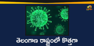 Coronavirus, COVID-19, Covid-19 Updates in Telangana, telangana corona district wise cases, telangana coronavirus cases district wise, telangana coronavirus cases today, telangana coronavirus cases today district wise, telangana coronavirus district wise, telangana coronavirus district wise List, Telangana Coronavirus News, telangana covid cases today bulletin, telangana covid cases today list