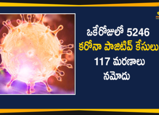 Corona Positive Cases in Maharashtra, Corona Positive Cases In Maharashtra, Maharashtra, Maharashtra , Maharashtra Corona, Maharashtra Corona Cases, Maharashtra Corona Deaths, Maharashtra Corona Positive Cases, Maharashtra Coronavirus, Maharashtra Coronavirus Positive Cases, Maharashtra Coronavirus Updates, Maharashtra COVID 19