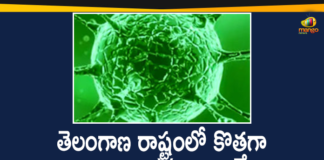 Coronavirus, COVID-19, Covid-19 Updates in Telangana, telangana corona district wise cases, telangana coronavirus cases district wise, telangana coronavirus cases today, telangana coronavirus cases today district wise, telangana coronavirus district wise, telangana coronavirus district wise List, Telangana Coronavirus News, telangana covid cases today bulletin, telangana covid cases today list
