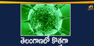 Coronavirus, COVID-19, Covid-19 Updates in Telangana, telangana corona district wise cases, telangana coronavirus cases district wise, telangana coronavirus cases today, telangana coronavirus cases today district wise, telangana coronavirus district wise, telangana coronavirus district wise List, Telangana Coronavirus News, telangana covid cases today bulletin, telangana covid cases today list