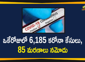 Corona Positive Cases in Maharashtra, Corona Positive Cases In Maharashtra, Maharashtra, Maharashtra , Maharashtra Corona, Maharashtra Corona Cases, Maharashtra Corona Deaths, Maharashtra Corona Positive Cases, Maharashtra Coronavirus, Maharashtra Coronavirus Positive Cases, Maharashtra Coronavirus Updates, Maharashtra COVID 19,mango news
