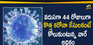 Coronavirus Cases, coronavirus cases in india state wise, coronavirus cases in india today state wise, coronavirus cases india, coronavirus india, India Coronavirus, India Covid-19 Updates, New Confirmed Corona Cases, total corona cases in india today, total corona positive in india