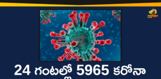 Maharashtra Reports 5965 New Positive Cases and 75 Deaths on Nov 28