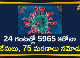 Maharashtra Reports 5965 New Positive Cases and 75 Deaths on Nov 28