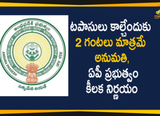 AP Govt Issued Orders over Diwali Celebrations, Only 2 hours Allowed for Crackers