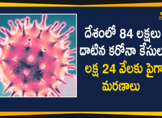 Coronavirus, Coronavirus Latest News, COVID-19, India Corona Updates, India Corona Updates: 50210 Positive Cases 704 Deaths Reported in Last 24 Hours, India Coronavirus Updates, Mango News, Mango News Telugu, Today Coronavirus Cases In India, Today Covid 19 Cases In India, Today India Coronavirus Cases