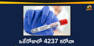 Corona Positive Cases in Maharashtra, Corona Positive Cases In Maharashtra, Maharashtra, Maharashtra , Maharashtra Corona, Maharashtra Corona Cases, Maharashtra Corona Deaths, Maharashtra Corona Positive Cases, Maharashtra Coronavirus, Maharashtra Coronavirus Positive Cases, Maharashtra Coronavirus Updates, Maharashtra COVID 19