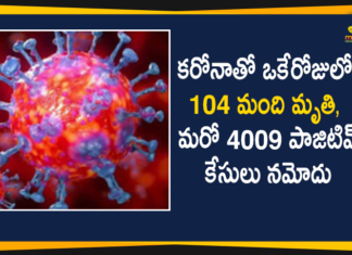 Corona Positive Cases in Maharashtra, Corona Positive Cases In Maharashtra, Maharashtra, Maharashtra , Maharashtra Corona, Maharashtra Corona Cases, Maharashtra Corona Deaths, Maharashtra Corona Positive Cases, Maharashtra Coronavirus, Maharashtra Coronavirus Positive Cases, Maharashtra Coronavirus Updates, Maharashtra COVID 19