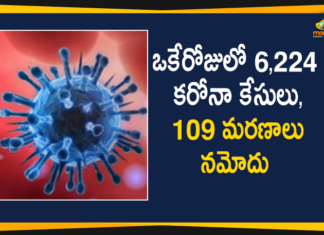 delhi corona cases, delhi corona cases update, delhi coronavirus, delhi coronavirus cases, delhi coronavirus cases live update, Delhi Coronavirus Deaths, delhi coronavirus news, delhi coronavirus update today, Delhi Coronavirus Updates, Delhi New Positive Cases, Mango News Telugu