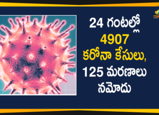 Corona Positive Cases in Maharashtra, Corona Positive Cases In Maharashtra, Maharashtra, Maharashtra , Maharashtra Corona, Maharashtra Corona Cases, Maharashtra Corona Deaths, Maharashtra Corona Positive Cases, Maharashtra Coronavirus, Maharashtra Coronavirus Positive Cases, Maharashtra Coronavirus Updates, Maharashtra COVID 19