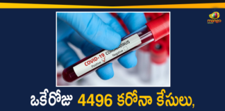 Corona Positive Cases in Maharashtra, Maharashtra, Maharashtra Corona, Maharashtra Corona Cases, Maharashtra Corona Deaths, Maharashtra Corona Positive Cases, Maharashtra Coronavirus, Maharashtra Coronavirus Positive Cases, Maharashtra Coronavirus Updates, Maharashtra COVID 19, Mango News