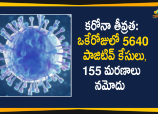 Corona Positive Cases in Maharashtra, Maharashtra, Maharashtra Corona, Maharashtra Corona Cases, Maharashtra Corona Deaths, Maharashtra Corona Positive Cases, Maharashtra Coronavirus, Maharashtra Coronavirus Positive Cases, Maharashtra Coronavirus Updates, Maharashtra COVID 19, Maharashtra New Covid-19 Cases, Mango News Telugu