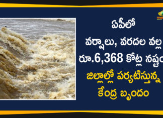 Central Team Reached to AP To Assess the Loss Due to Rains and Floods
