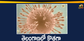 Covid-19 Updates in Telangana: 617 New Positive Cases and 3 Deaths Reported on Dec 21,Telangana COVID-19 Report,Covid-19 Updates In Telangana,Telangana COVID-19 Cases New Reports,Telangana Reports,Telangana COVID-19 Cases,COVID 19 Updates,COVID-19,COVID-19 Latest Updates In Telangana,Mango News,Telangana,Telangana Coronavirus Cases Today,Telangana Coronavirus Updates,Telangana COVID-19 Cases,Telangana COVID-19 Deaths Reports,Telangana COVID-19 617 New Positive Cases,Telangana COVID-19 Reports,Telangana State COVID-19 Update,COVID-19 Cases In Telangana,Telangana Corona Updates,Telangana COVID-19 Reports,Telangana Reports 617 New Covid-19 Cases