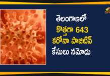 Telangana Corona Updates: 643 New Positive Cases and 2 Deaths Reported on Dec 9,Telangana COVID-19 Report,Covid-19 Updates In Telangana,Telangana COVID-19 Cases New Reports,Telangana Reports,Telangana COVID-19 Cases,COVID 19 Updates,COVID-19,COVID-19 Latest Updates In Telangana,Mango News,Telangana,Telangana Coronavirus Cases Today,Telangana Coronavirus Updates,Telangana COVID-19 Cases,Telangana COVID-19 Deaths Reports,Telangana COVID-19 643 New Positive Cases,Telangana COVID-19 Reports,Telangana State COVID-19 Update,COVID-19 Cases In Telangana,Telangana Corona Updates,Telangana COVID-19 Reports,Mango News Telugu,Telangana Reports 643 New Covid-19 Cases